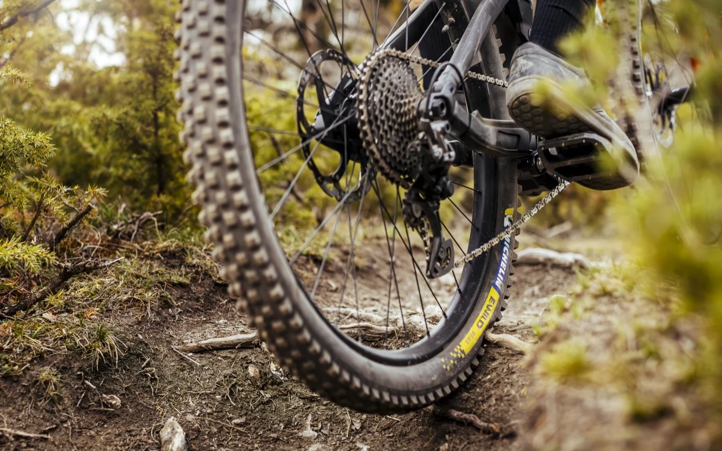 MICHELIN E-WILD Racing Line: První plášť od Michelinu speciálně pro E-MTB